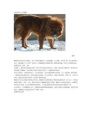 世界名犬大全