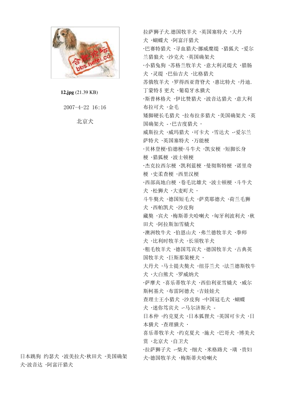 世界名狗大全图片_第2页