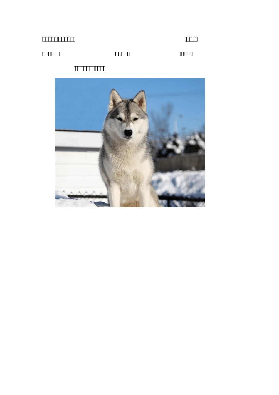 世界名贵犬种_第2页