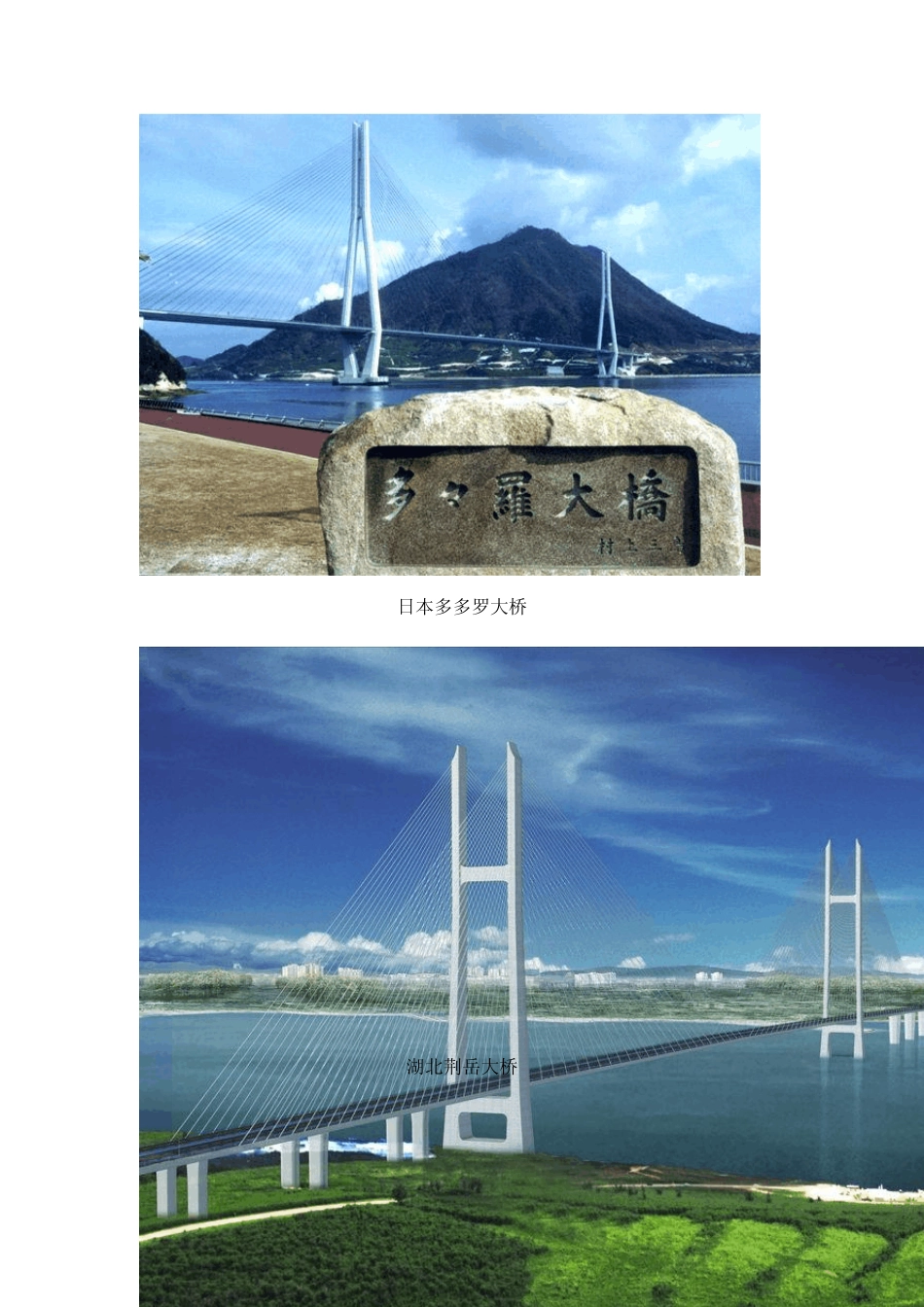 世界大跨径桥梁排名_第2页