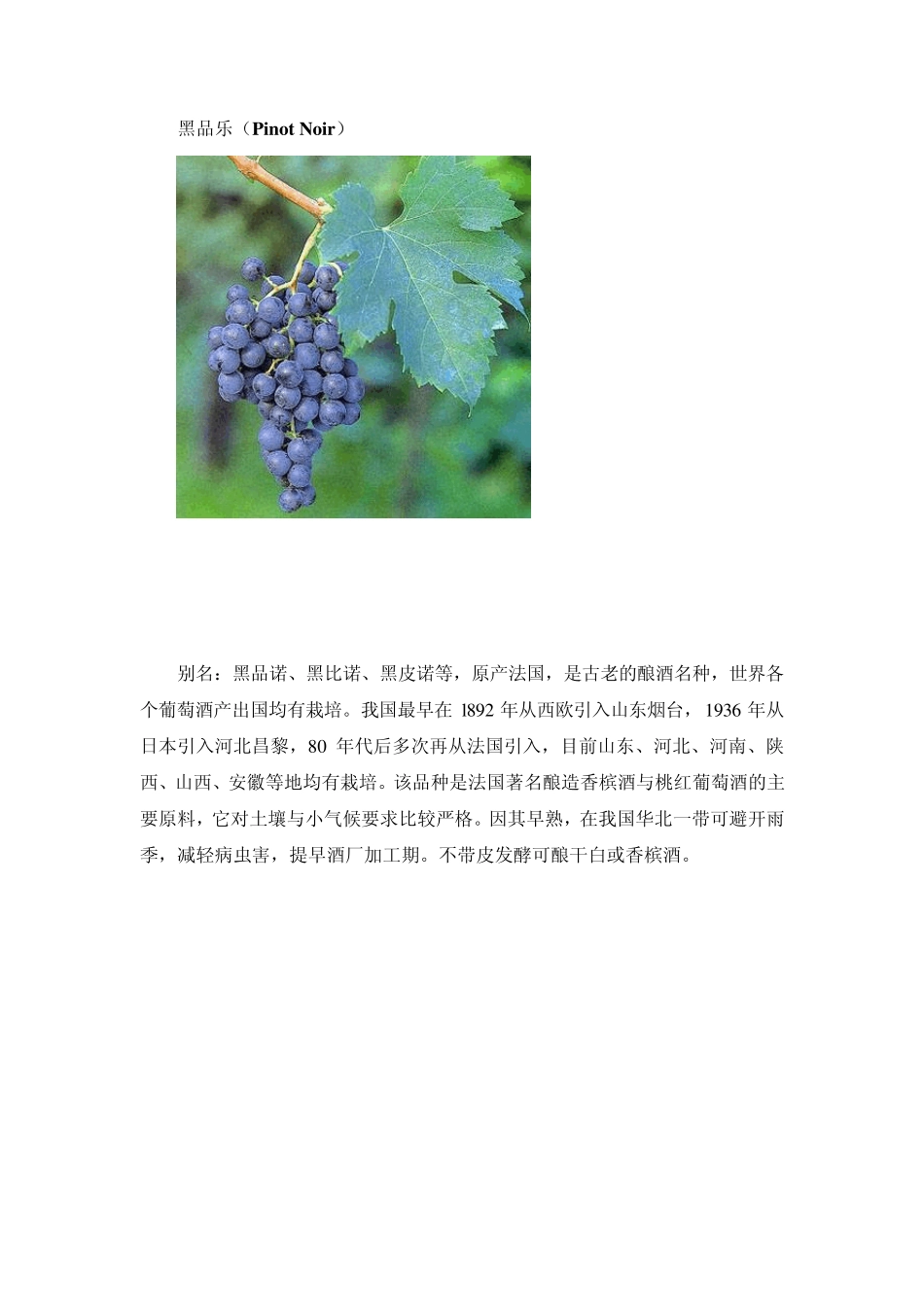 世界流行红白葡萄品种大全_第2页