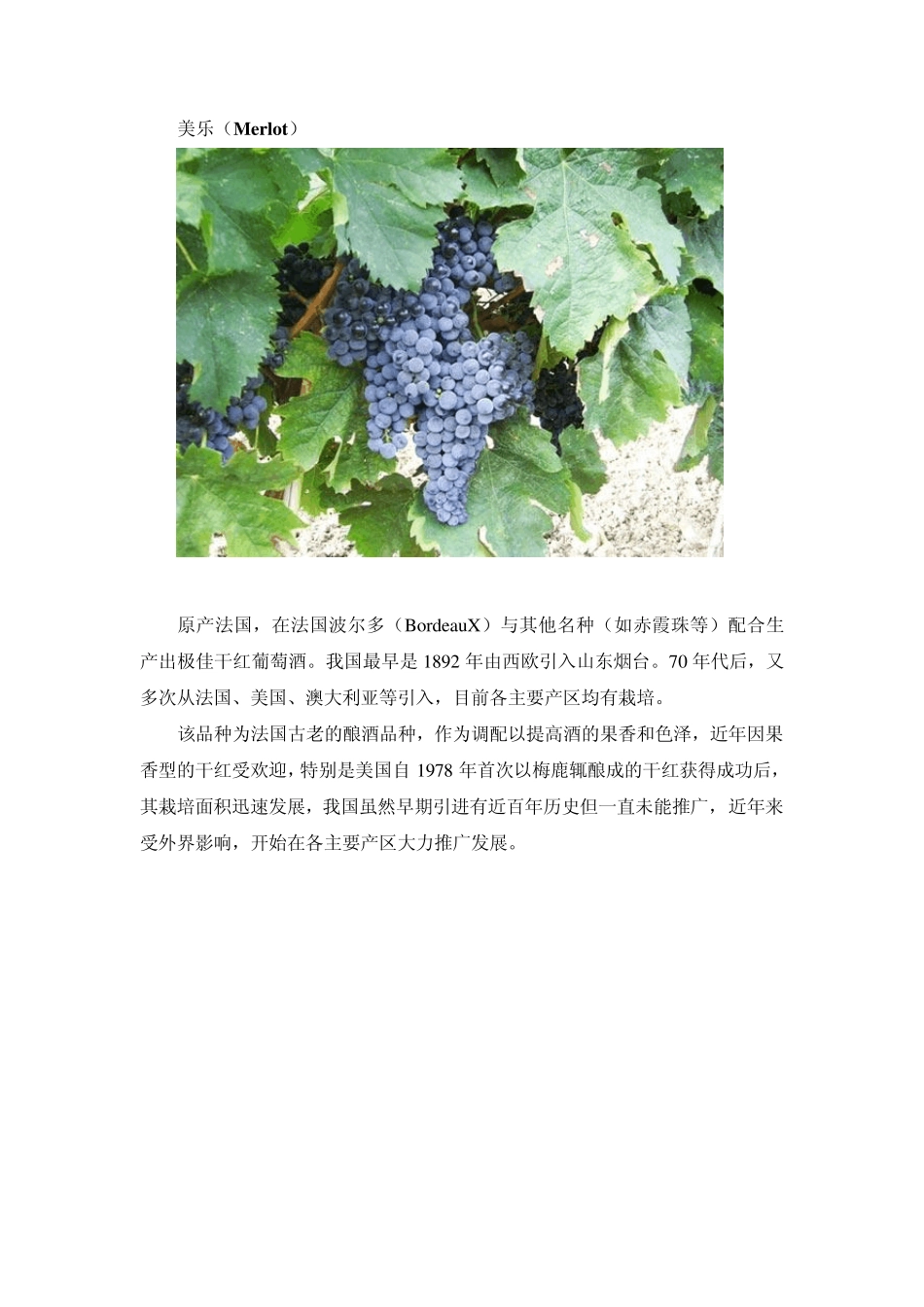 世界流行红白葡萄品种大全_第3页