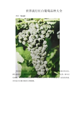 世界流行红白葡萄品种大全