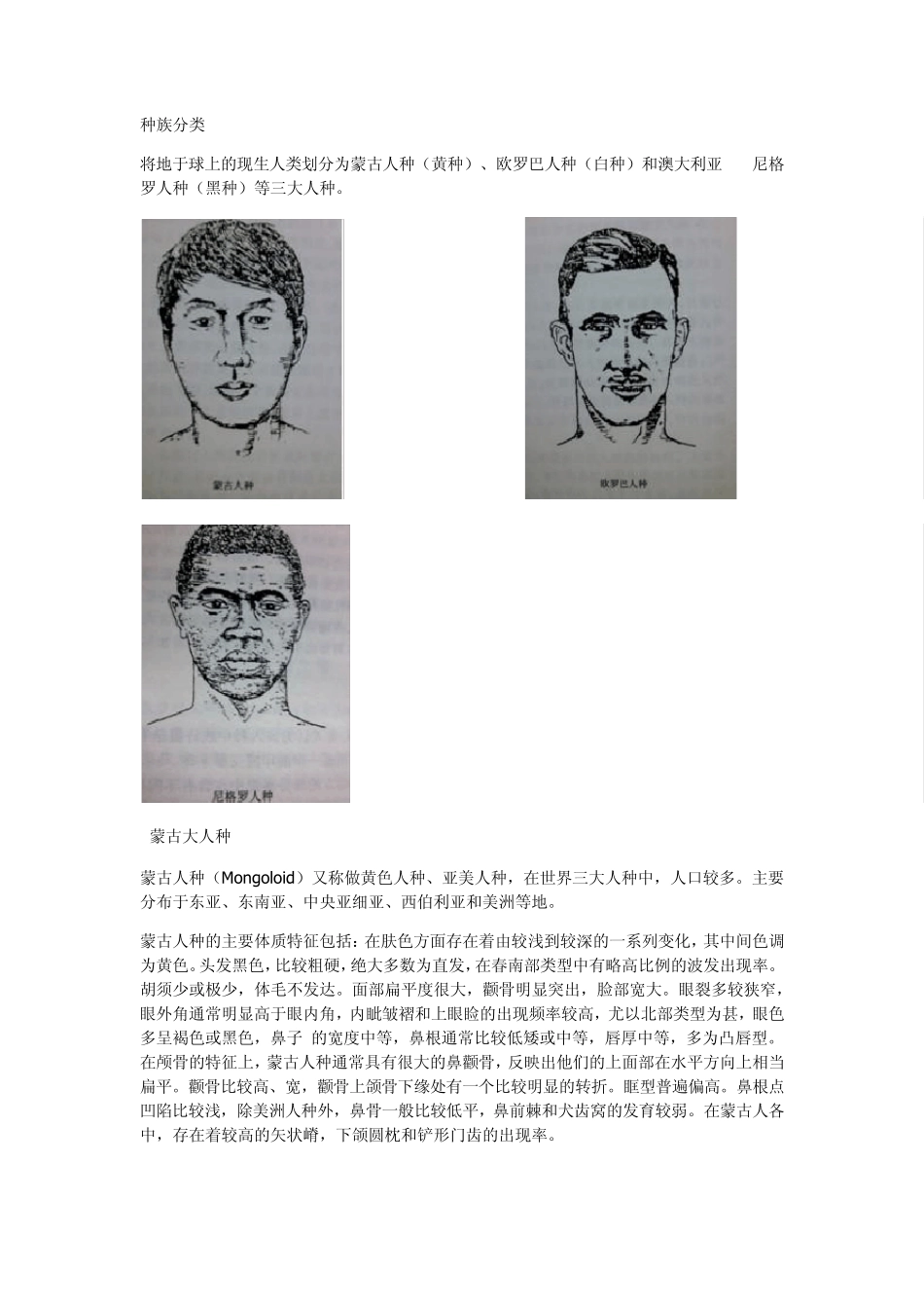 世界种族分布及差异_第1页