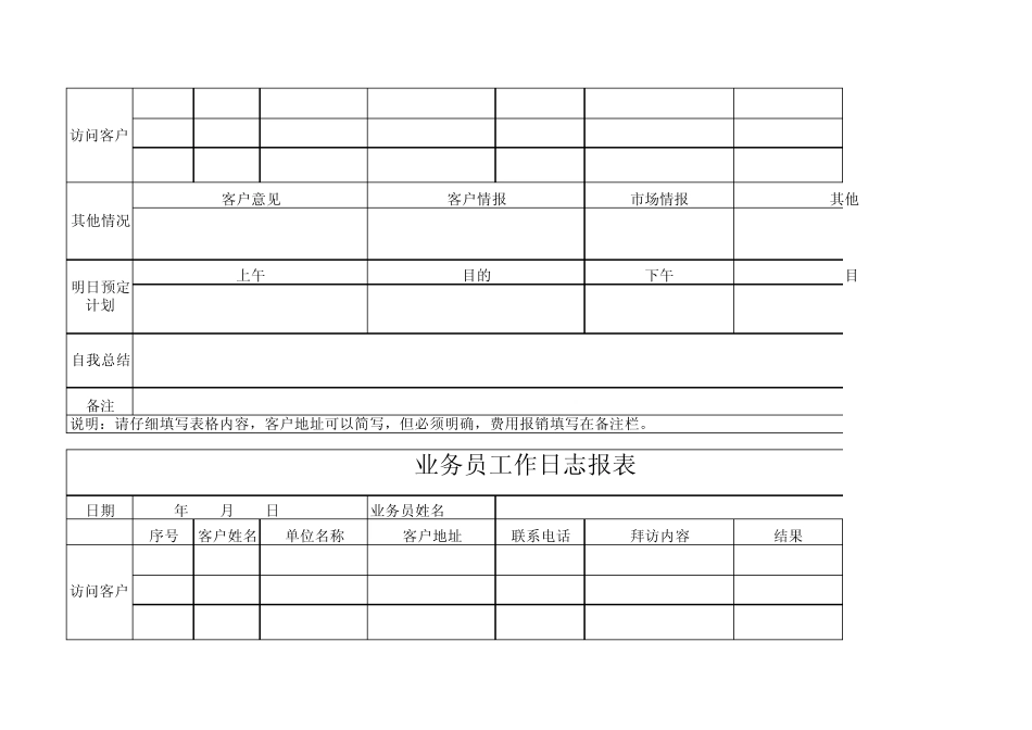 业务员工作日志报表模板_第2页