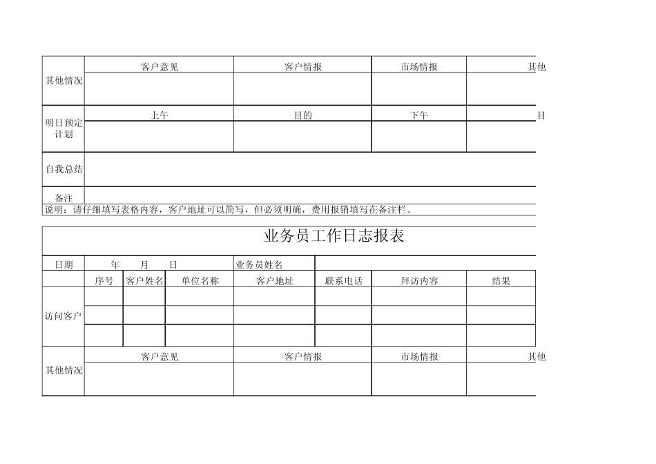 业务员工作日志报表模板_第3页