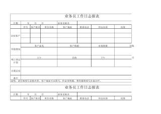 业务员工作日志报表模板