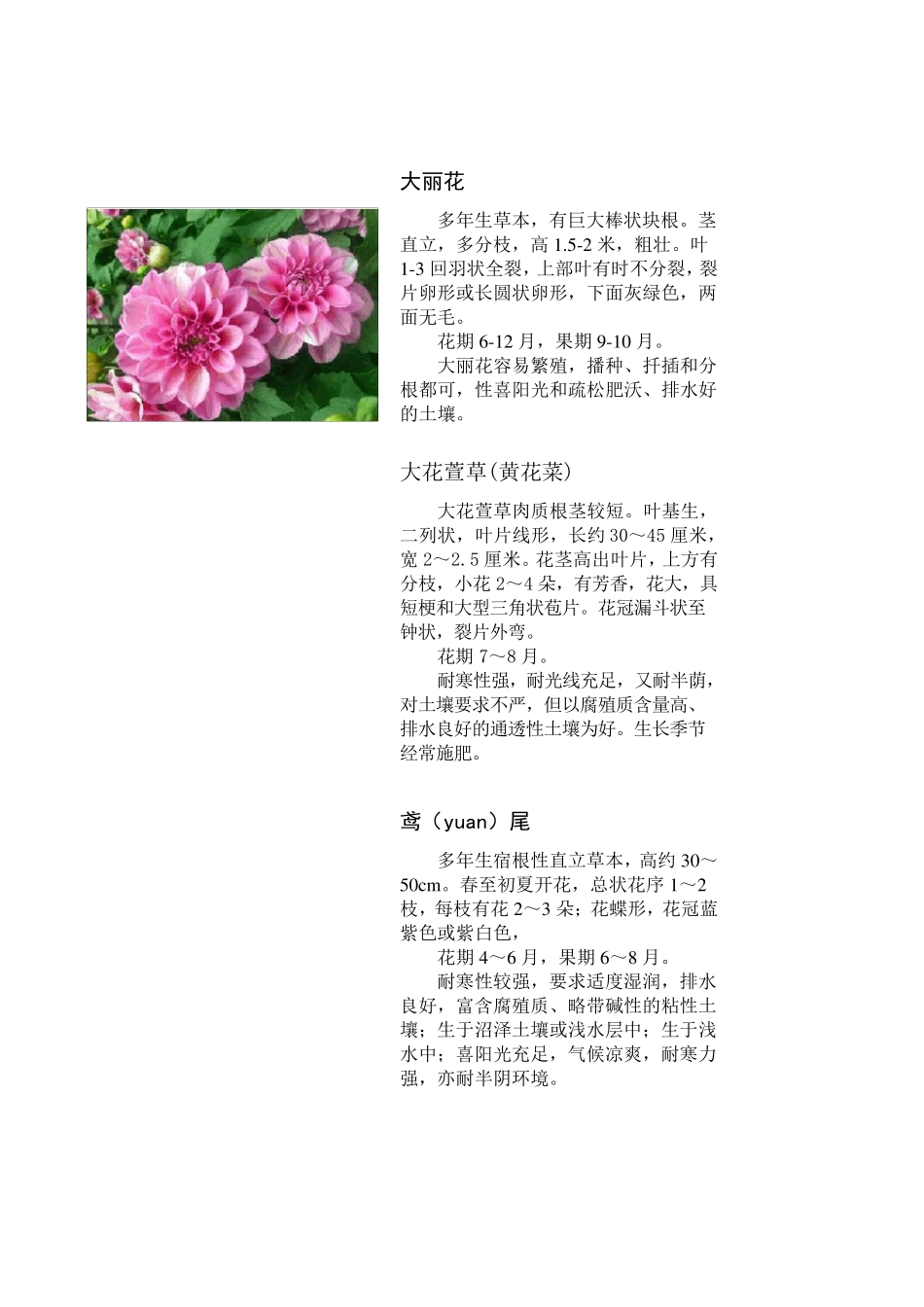 东北地区常用室外可露地越冬花卉_第2页