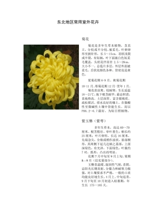 东北地区常用室外可露地越冬花卉