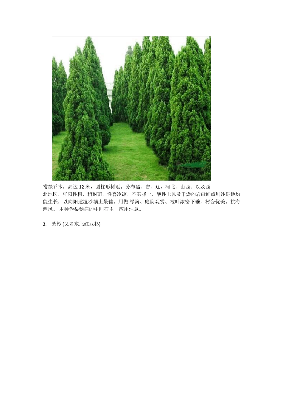 东北常用30种景观植物_第2页