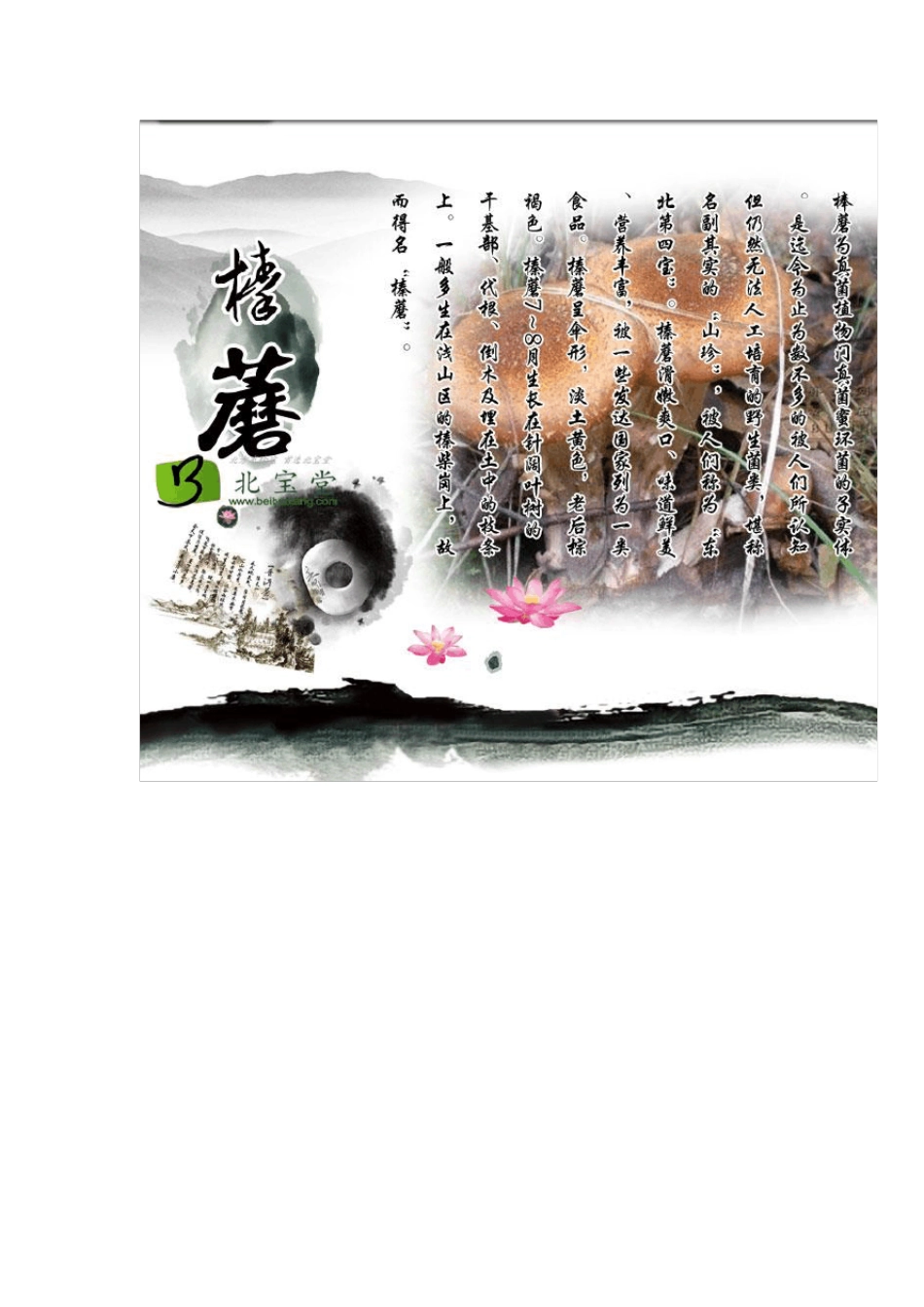 东北野生榛蘑_第1页