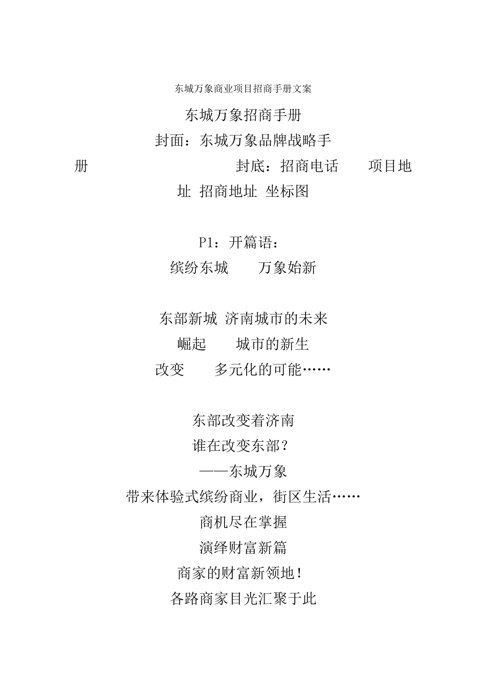 东城万象商业项目招商手册文案_第1页