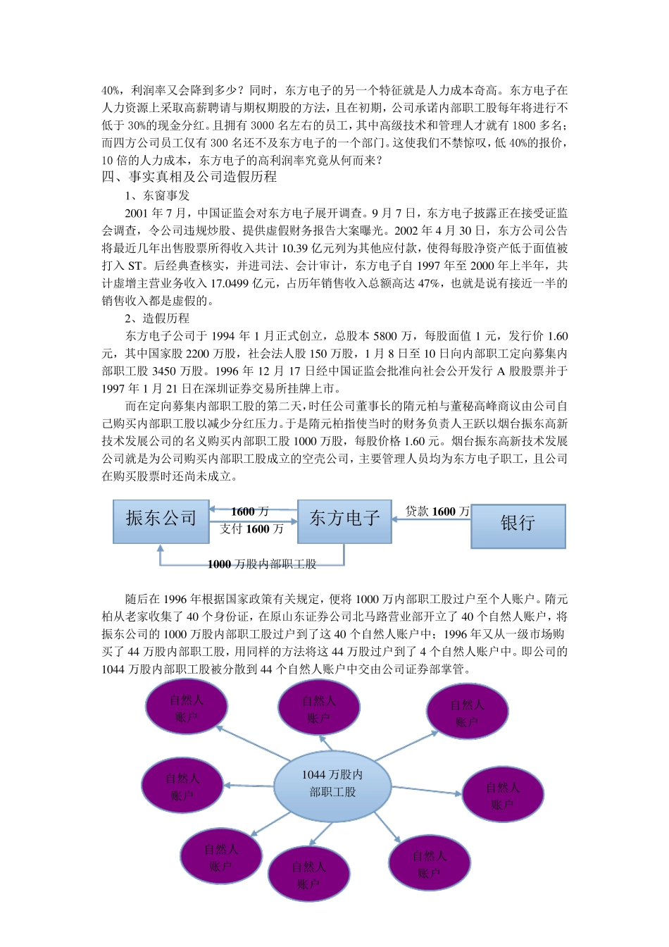 东方电子审计案例_第2页