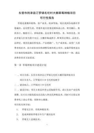 东营市利津县汀罗镇大棚草莓种植项目可行性报告