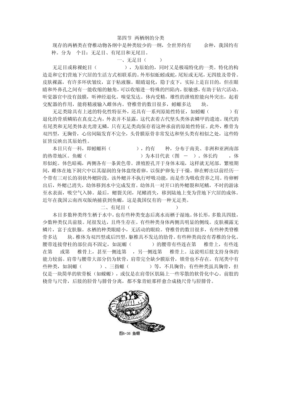 两栖纲的分类_第1页