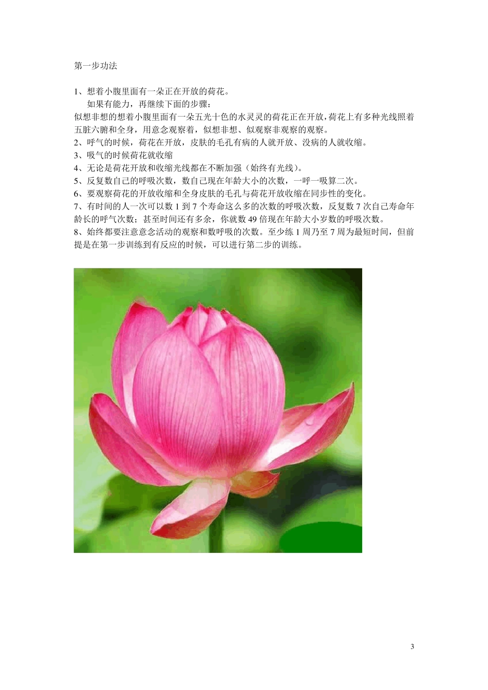 严新九步功法打印版_第3页