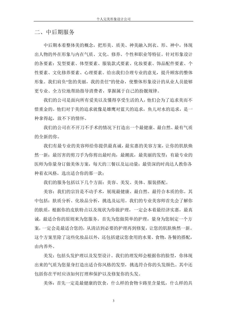 个人形象设计创业计划书_第3页