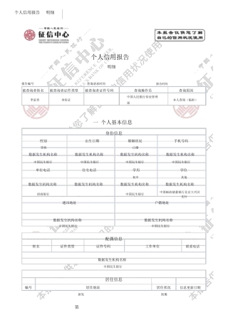 个人征信报告(水印)