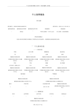 个人征信报告模板2020年下载可编辑水印版