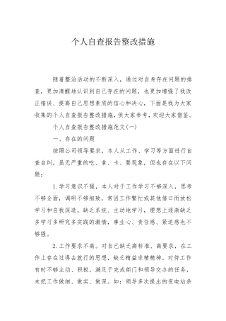 个人自查报告整改措施