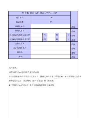 个体工商户会计报表模板.xls