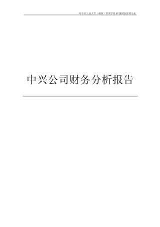 中兴公司2009年财务分析报告