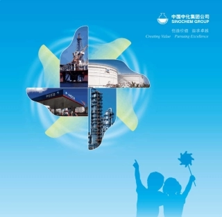 中化集团石油业务宣传册(2014)