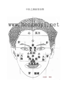 中医之颜面望诊图