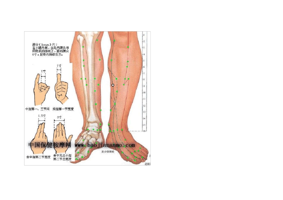 中医人体穴位图解大全_第2页