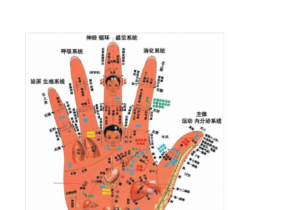 中医人体穴位图解大全_第3页