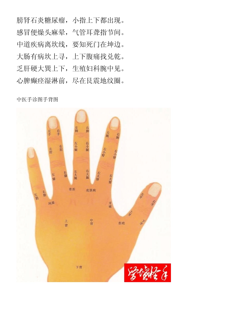 中医手诊图手心图_第2页