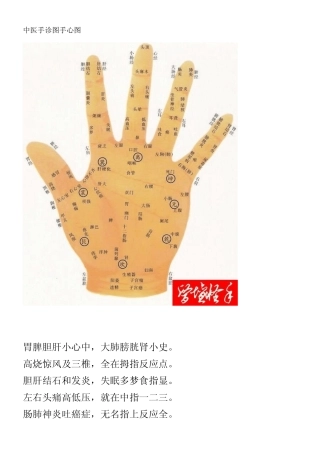 中医手诊图手心图