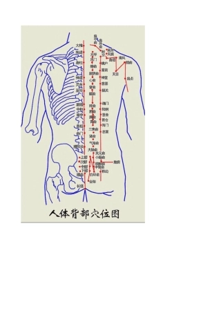 中医拔罐穴位图