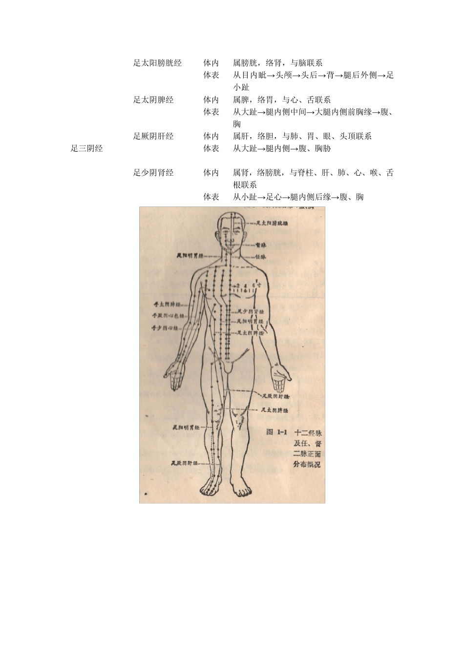 中医经络学说概述(第一部分)_第3页