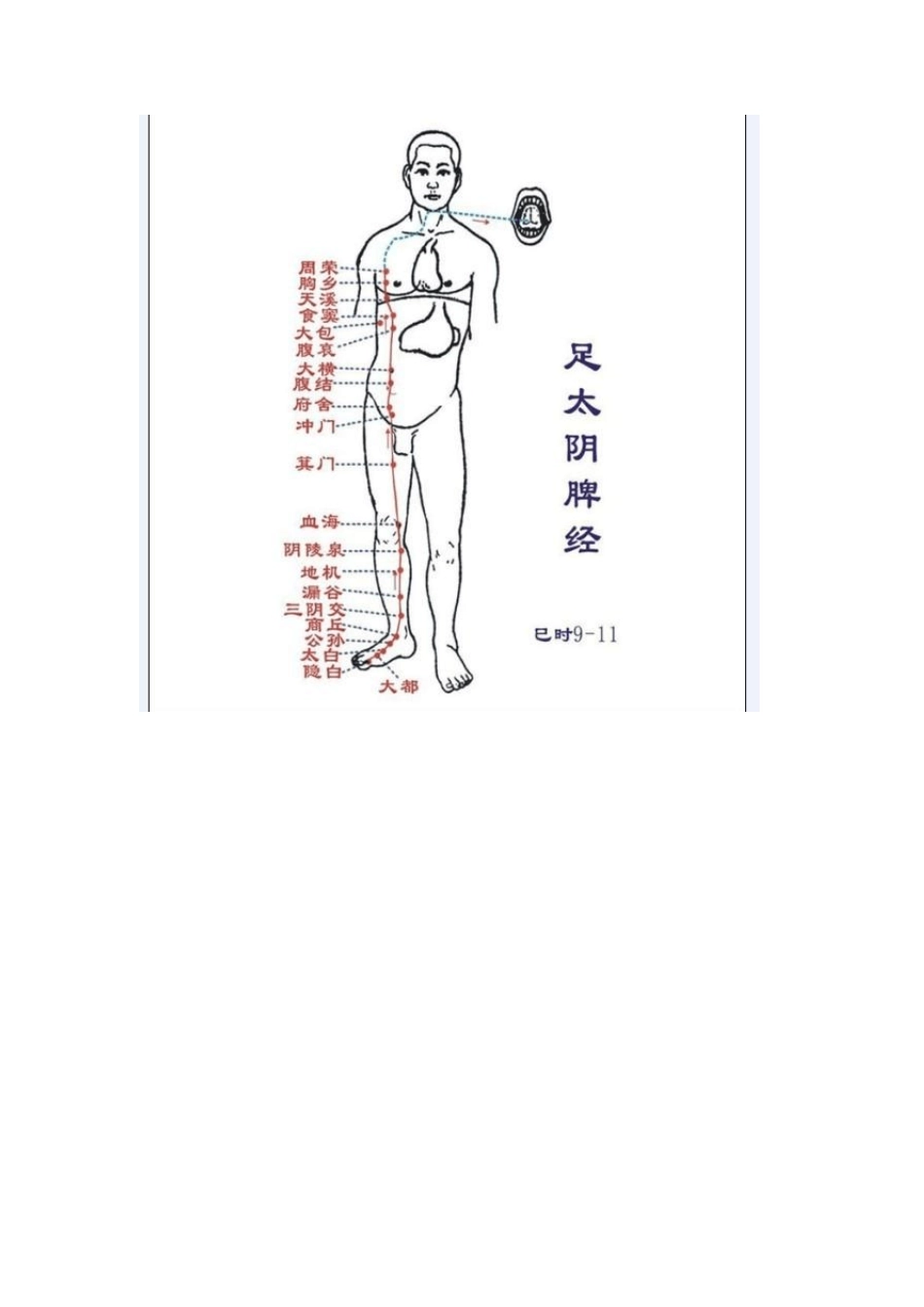中医经络图大全_第2页