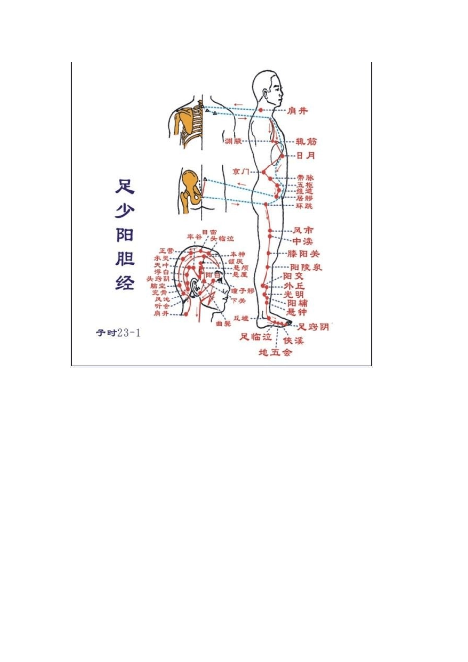 中医经络图大全_第3页
