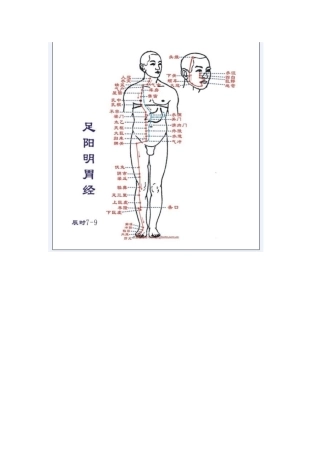 中医经络图大全