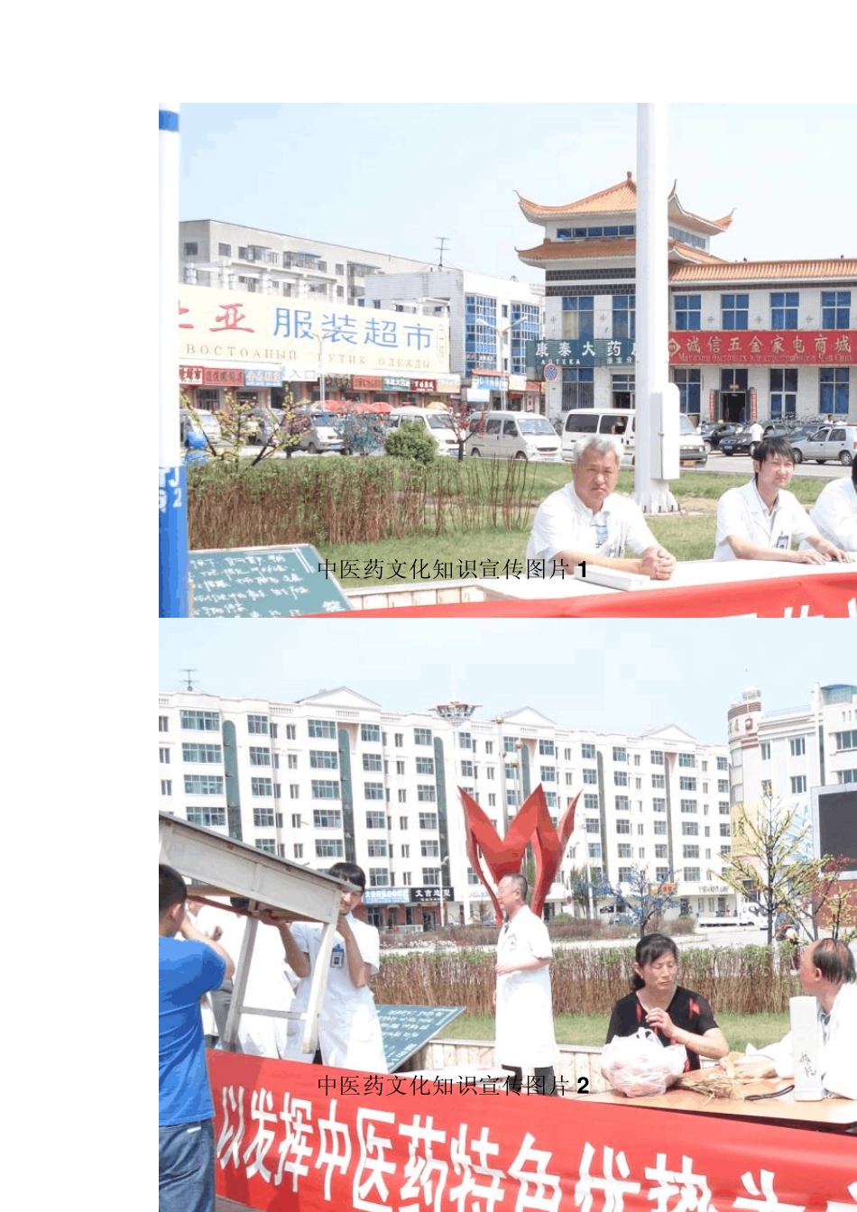 中医药知识宣传普及工作方案_第3页