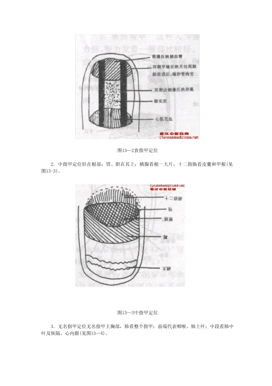 中医诊断法之指甲诊_第3页