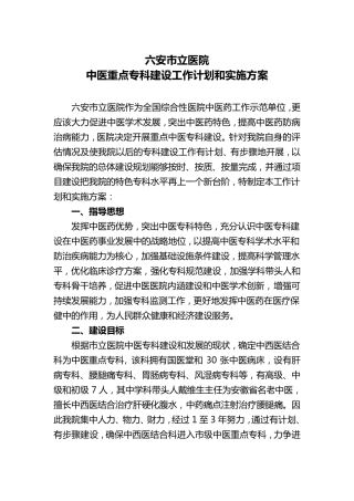 中医重点专科建设计划和实施方案