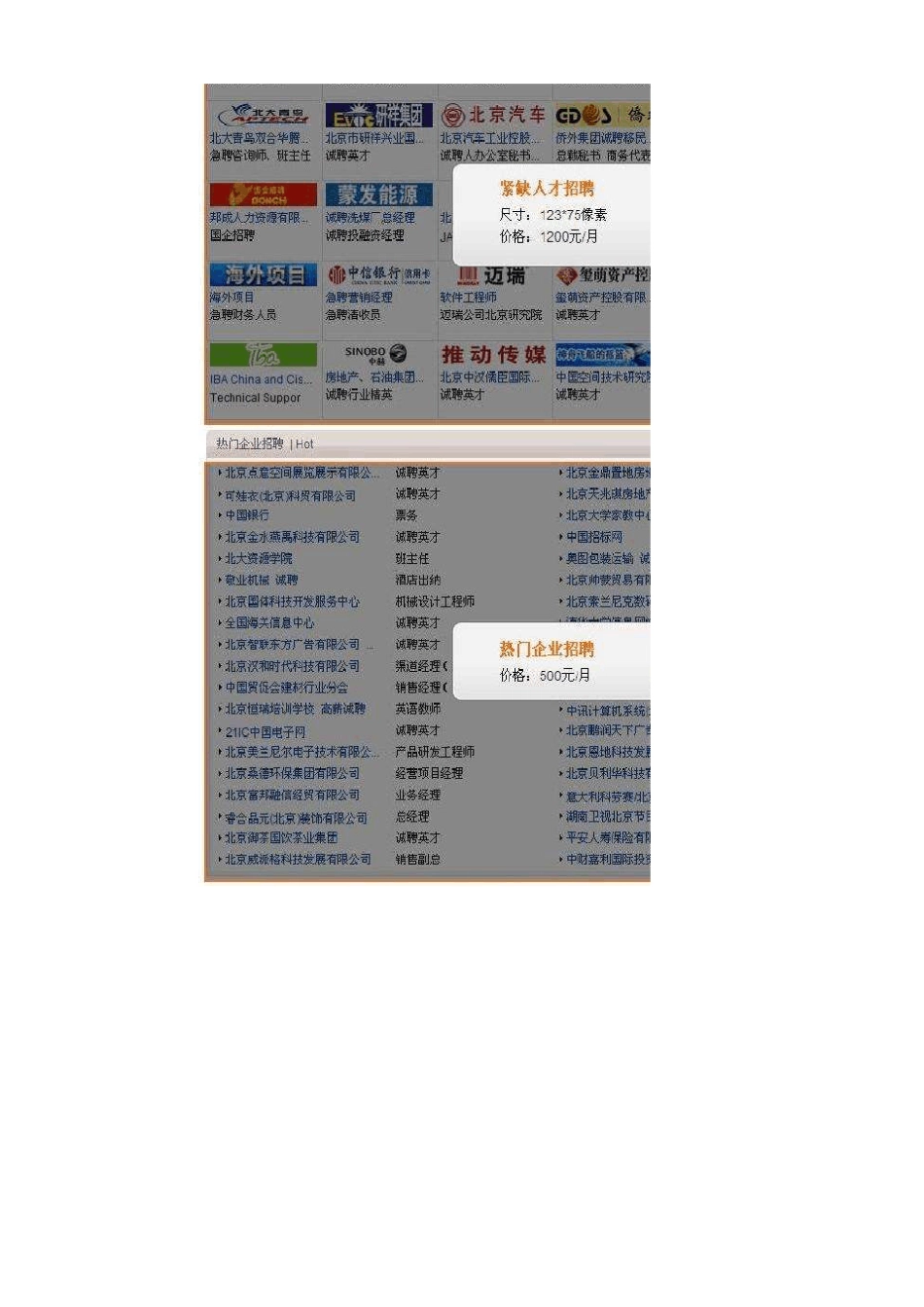 中华英才网中西区产品与服务报价2011年最新版_第3页