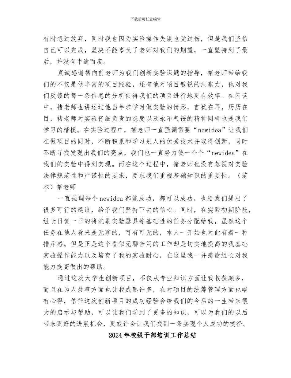 2024年校级创新项目个人总结范本_第3页