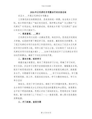 2024年正风肃纪专项整治行动自查总结