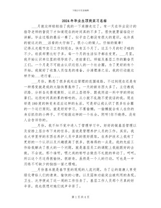 2024年毕业生顶岗实习总结