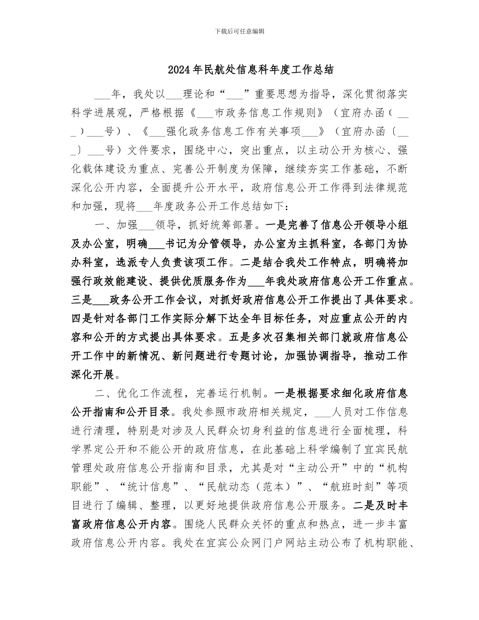 2024年民航处信息科年度工作总结_第1页