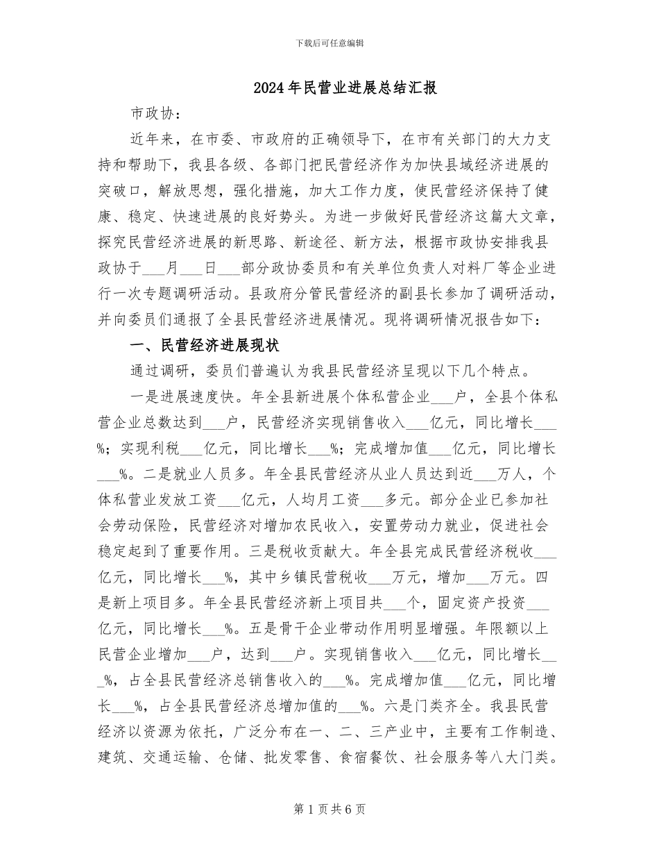 2024年民营业发展总结汇报_第1页