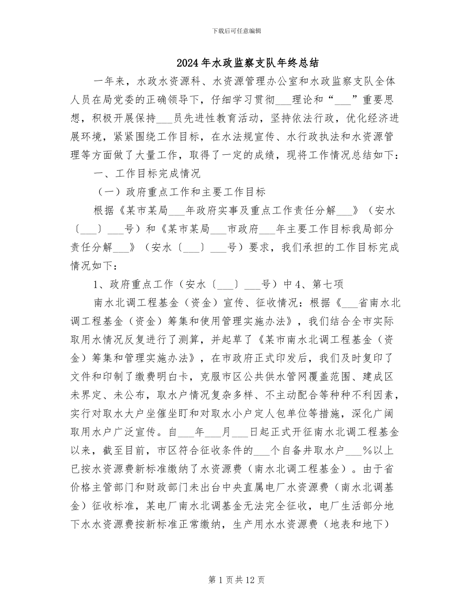 2024年水政监察支队年终总结_第1页