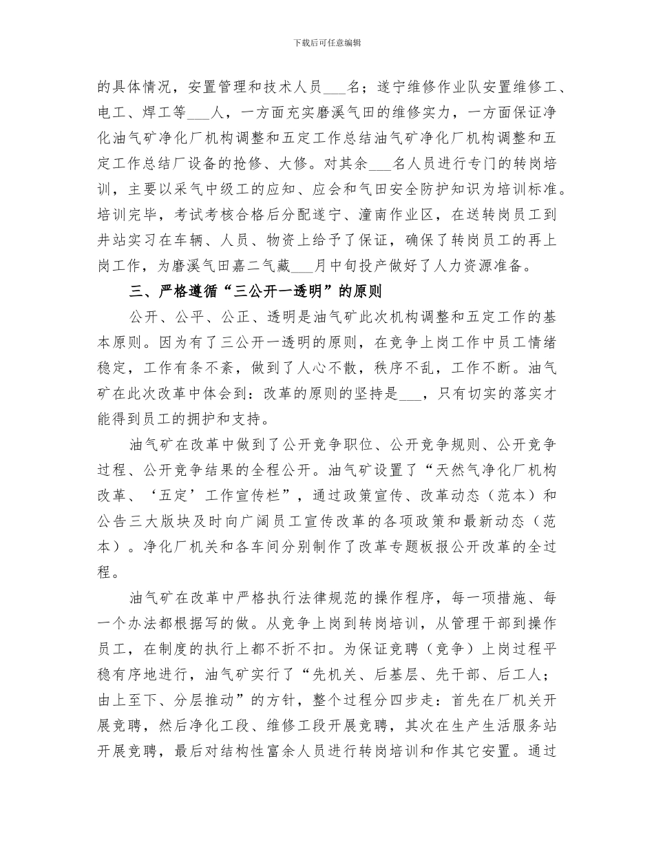 2024年油气矿净化厂机构调整和五定工作总结范本_第3页