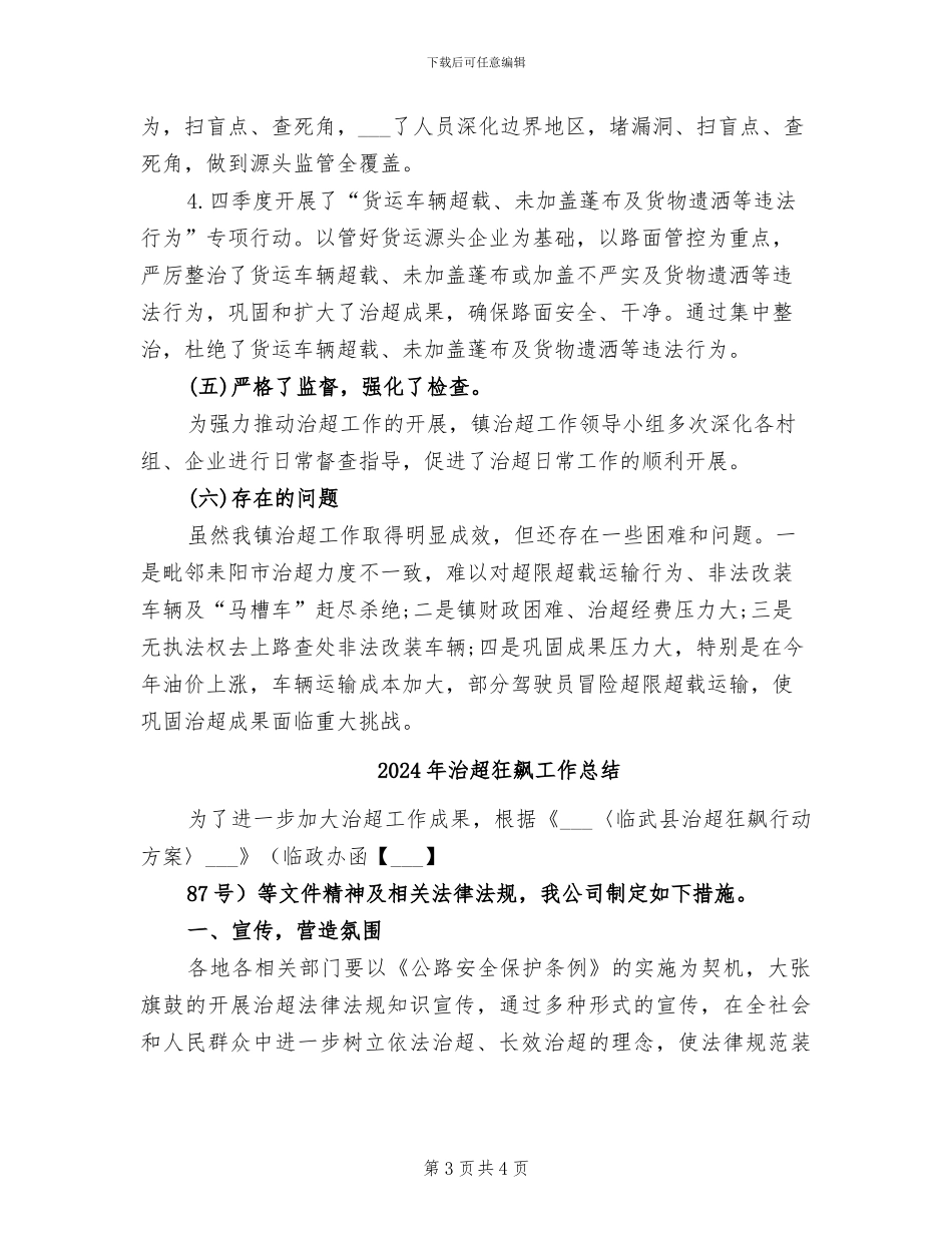2024年治超年终工作总结_第3页