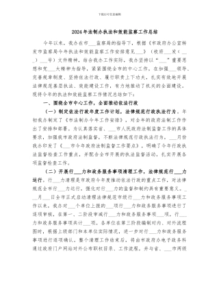 2024年法制办执法和效能监察工作总结